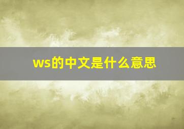 ws的中文是什么意思