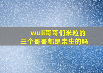 wuli哥哥们米粒的三个哥哥都是亲生的吗