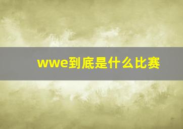 wwe到底是什么比赛