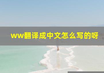 ww翻译成中文怎么写的呀