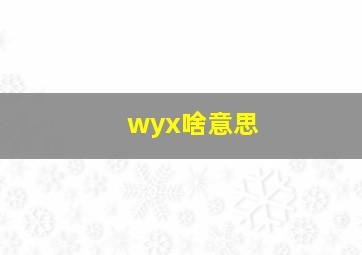 wyx啥意思