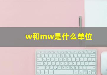 w和mw是什么单位