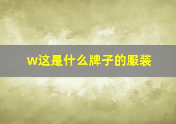 w这是什么牌子的服装