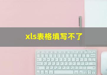 xls表格填写不了