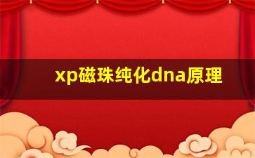 xp磁珠纯化dna原理