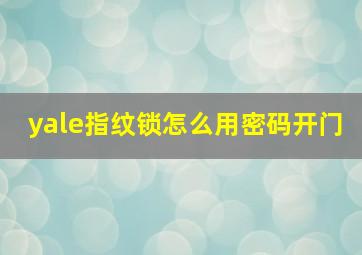 yale指纹锁怎么用密码开门