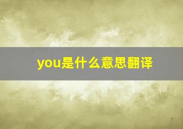 you是什么意思翻译