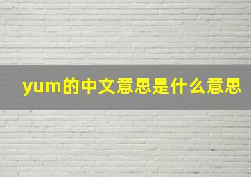 yum的中文意思是什么意思