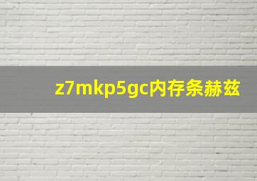 z7mkp5gc内存条赫兹