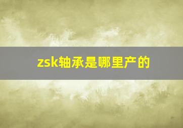 zsk轴承是哪里产的