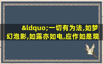 “一切有为法,如梦幻泡影,如露亦如电,应作如是观”!