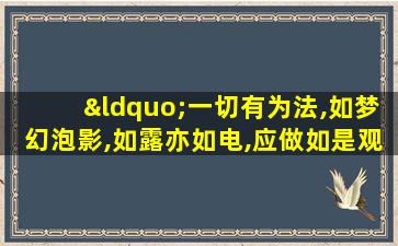 “一切有为法,如梦幻泡影,如露亦如电,应做如是观”