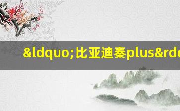 “比亚迪秦plus”