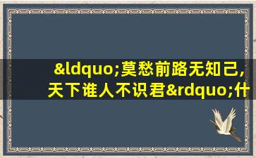 “莫愁前路无知己,天下谁人不识君”什么意思