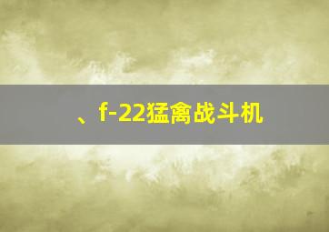 、f-22猛禽战斗机