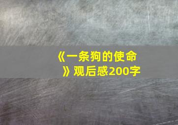 《一条狗的使命》观后感200字