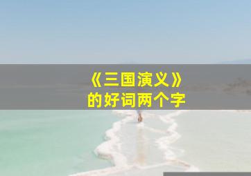 《三国演义》的好词两个字