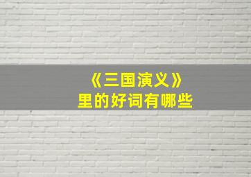 《三国演义》里的好词有哪些