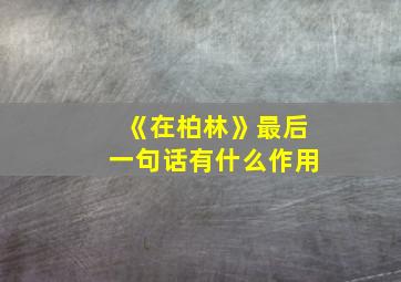 《在柏林》最后一句话有什么作用