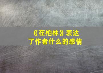 《在柏林》表达了作者什么的感情