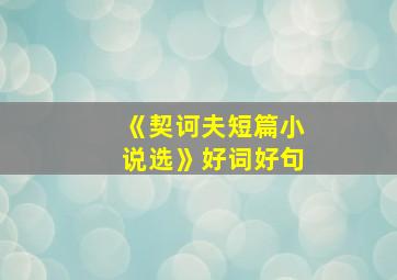 《契诃夫短篇小说选》好词好句