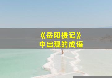 《岳阳楼记》中出现的成语