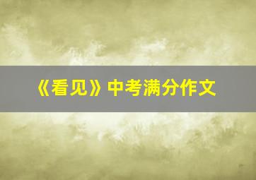 《看见》中考满分作文