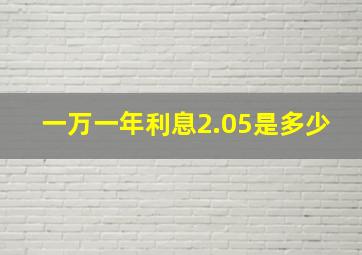 一万一年利息2.05是多少