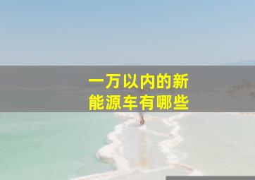 一万以内的新能源车有哪些