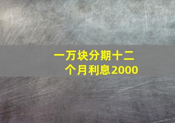 一万块分期十二个月利息2000