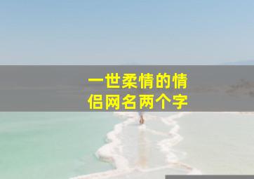 一世柔情的情侣网名两个字