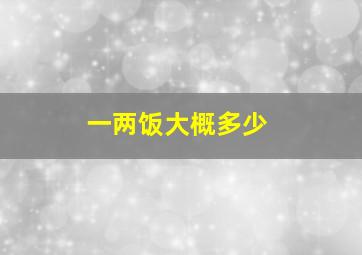 一两饭大概多少