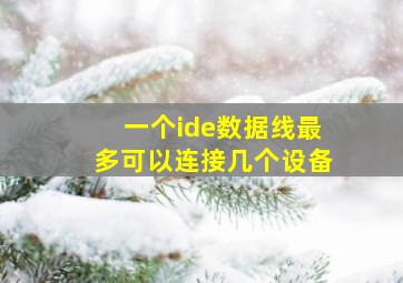 一个ide数据线最多可以连接几个设备