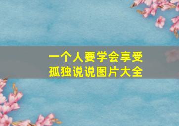 一个人要学会享受孤独说说图片大全