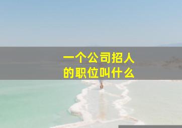 一个公司招人的职位叫什么