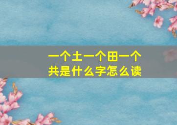 一个土一个田一个共是什么字怎么读