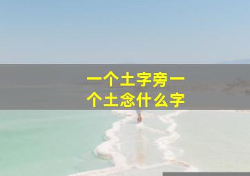 一个土字旁一个土念什么字