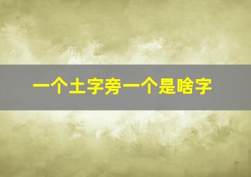 一个土字旁一个是啥字