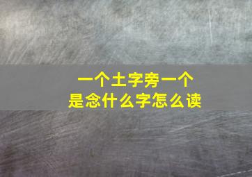 一个土字旁一个是念什么字怎么读