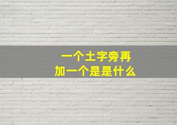 一个土字旁再加一个是是什么