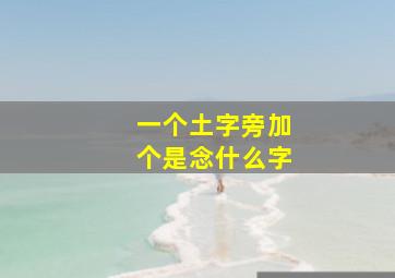 一个土字旁加个是念什么字