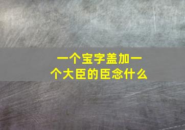 一个宝字盖加一个大臣的臣念什么