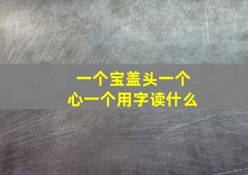 一个宝盖头一个心一个用字读什么