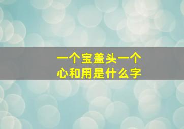 一个宝盖头一个心和用是什么字