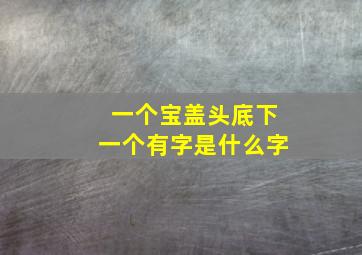 一个宝盖头底下一个有字是什么字