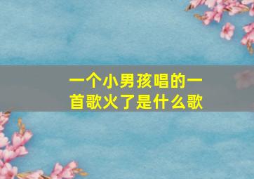 一个小男孩唱的一首歌火了是什么歌