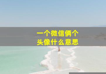 一个微信俩个头像什么意思