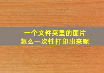 一个文件夹里的图片怎么一次性打印出来呢