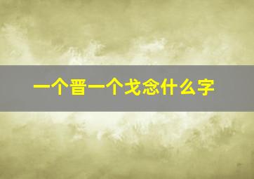 一个晋一个戈念什么字