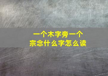 一个木字旁一个宗念什么字怎么读